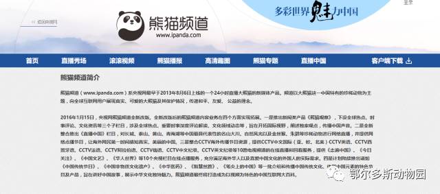 2025新澳门最精准免费大全和澳门特马网站.www,详细解答、解释与落实-警惕虚假宣传-详细解答、解释与落实